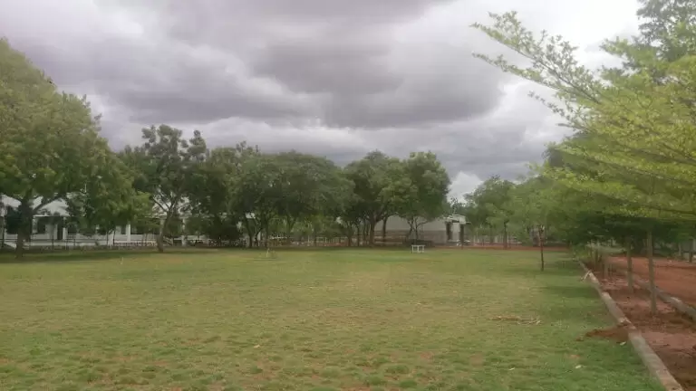 8890 11a9a1f80ae4 1 768x432