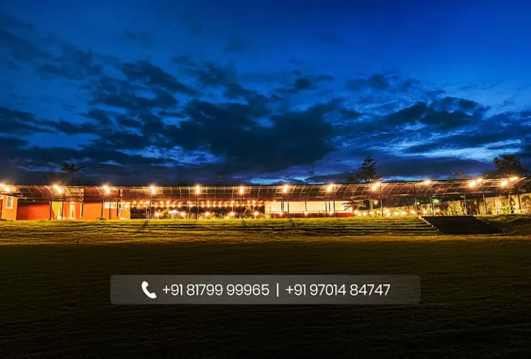 8998 ba33a321104b 1 768x520