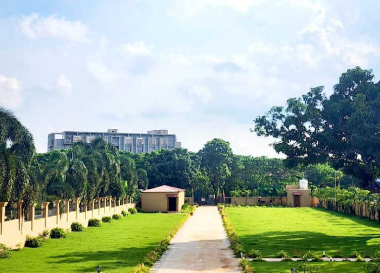 7220 538c6bbbe8d6 768x551