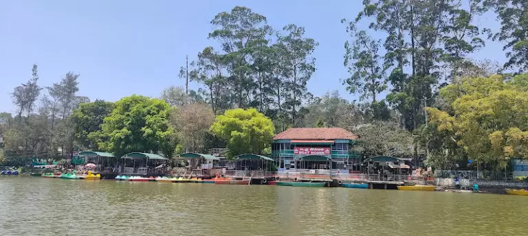 7442 23201517f07d 768x344