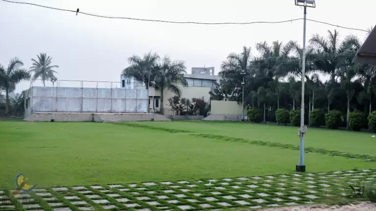 7470 519071635aa1 768x432