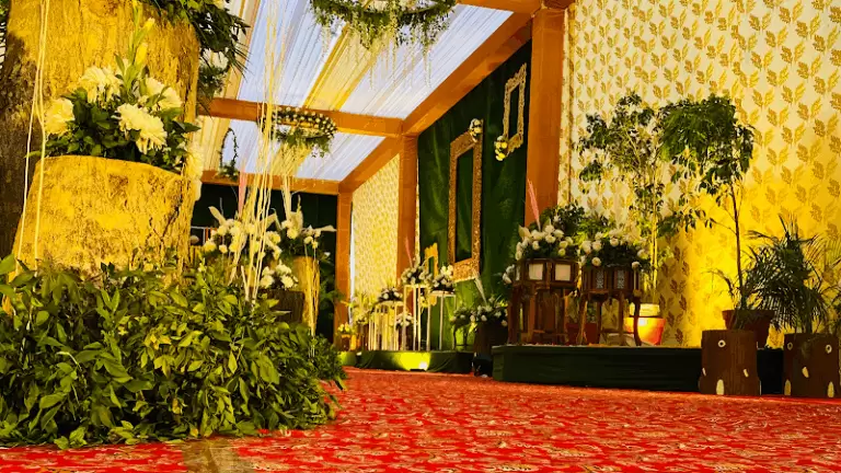 8388 1c25b78a24aa 1 768x432