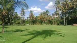 The Pavilion Lawn in Mysore, Karnataka