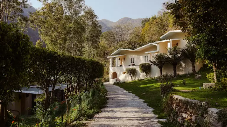 8632 708defa52d42 1 768x432