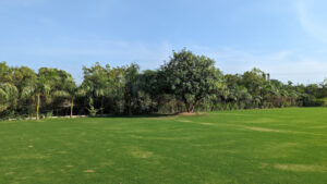 The Turf by Vikrama in Ampad, Gujarat
