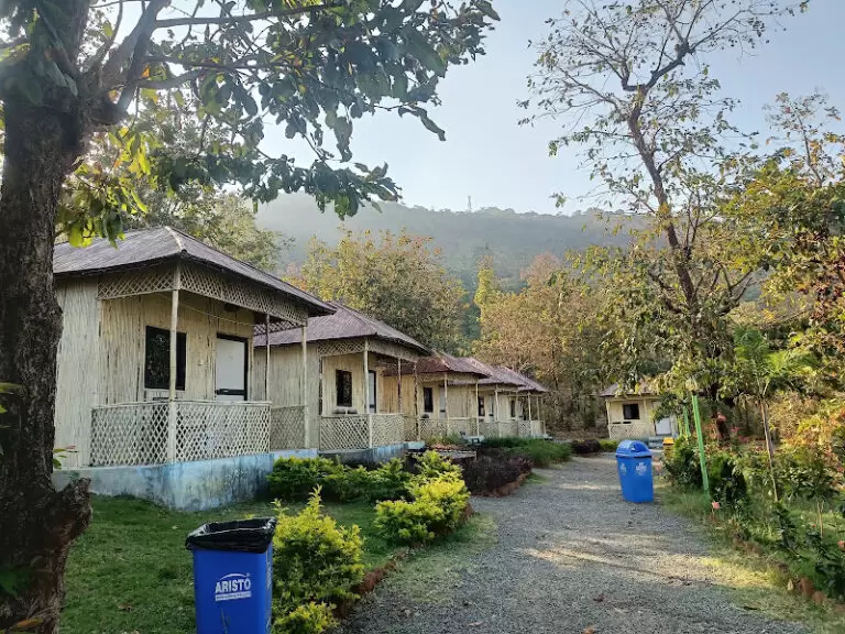 8678 1b73dc9d8b81 1 768x576