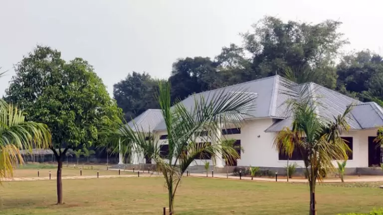 32076 85cd8907c2da 768x431