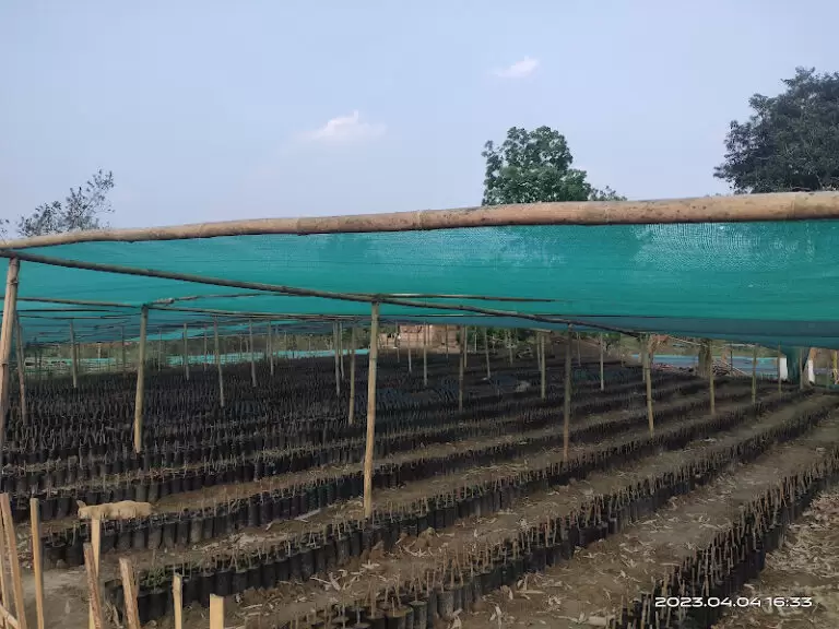 32078 12118313a2ce 768x576