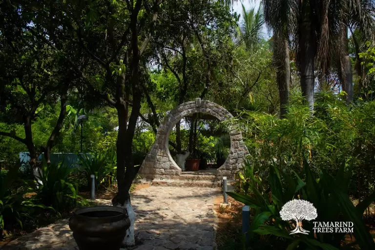 32105 79ff255cfc0d 768x512