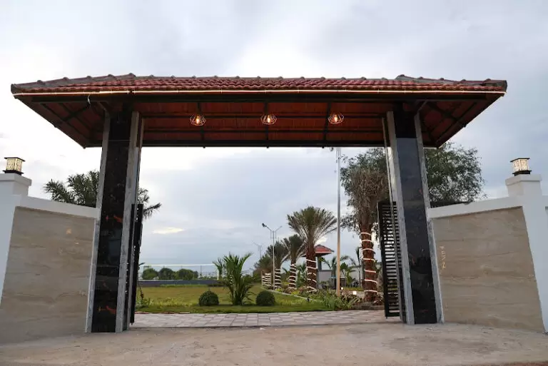 32191 331b6e10ba2b 768x513