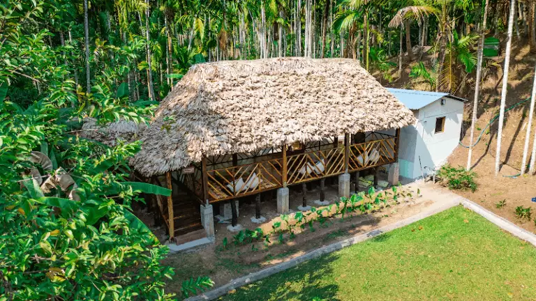 33357 9668db0aac38 768x432