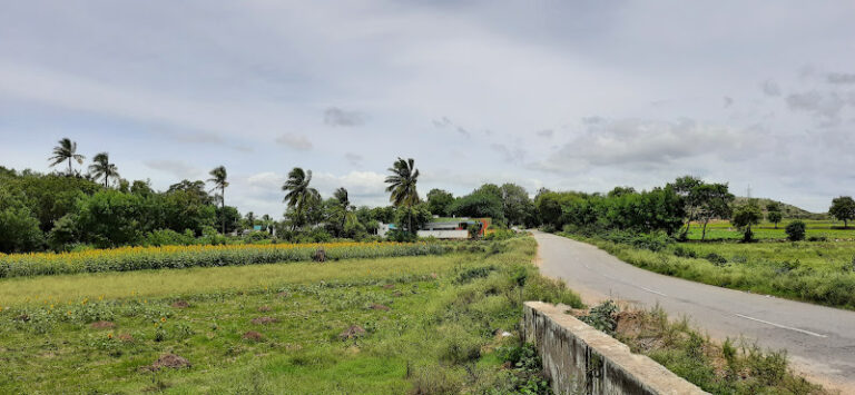 34346 cf80bb5747a9 768x355