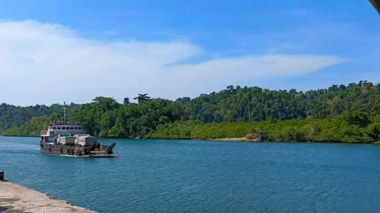 34476 edb9d450e0b8 768x432