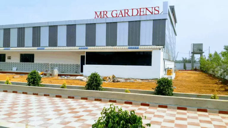 35955 df605a9756b7 768x432