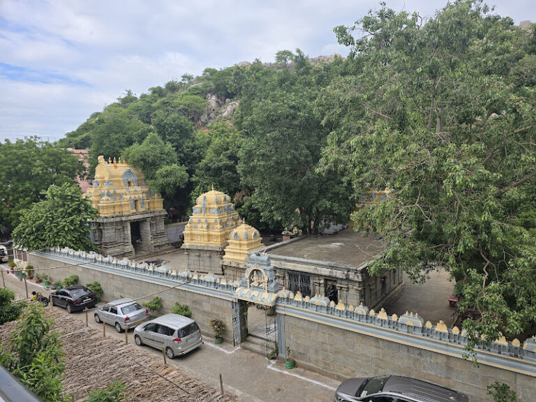 36136 614b50543009 768x576