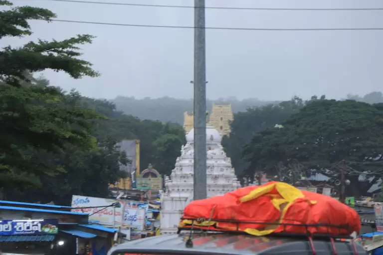 36389 709e44d0a28a 768x513