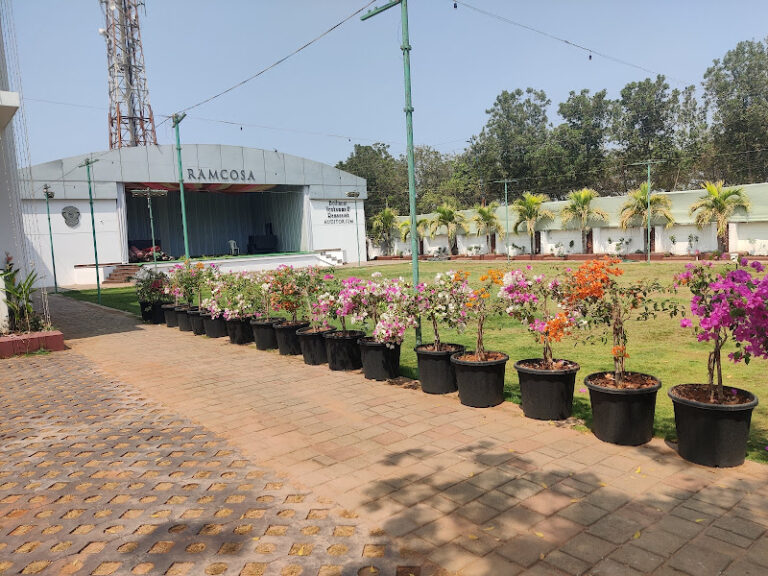 41749 9080aa0fa6bf 768x576