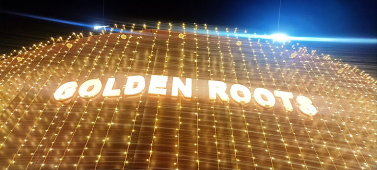 42481 c2de253a93ea 768x347