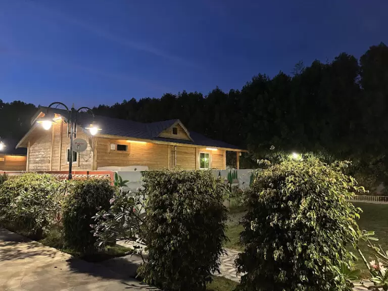 42599 418d811d9b0e 768x576