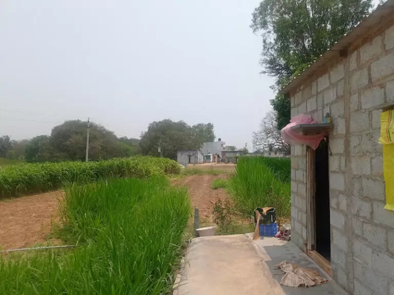 43077 67f56884089d 768x576