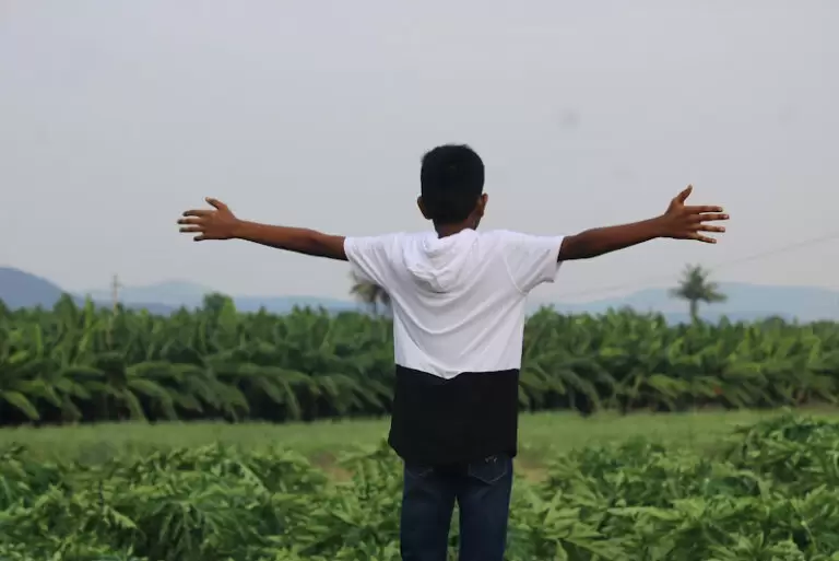 43832 f065cc1690e9 768x513